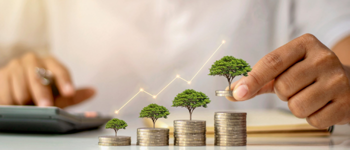 Wealth Management Service